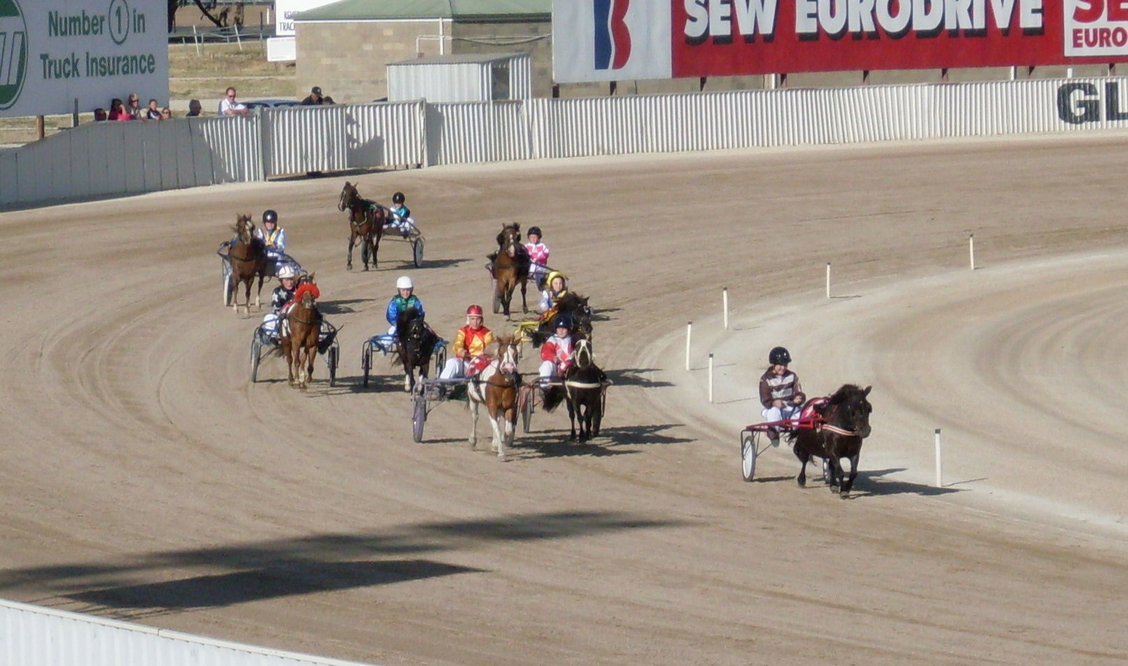 SA Harness Racing Pony Association